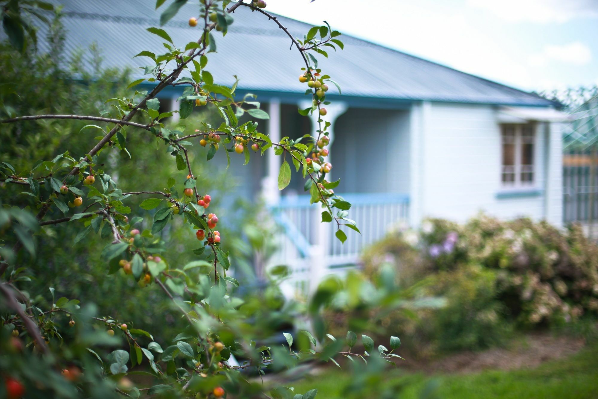 Apple Blossom Cottages Станторп Екстериор снимка